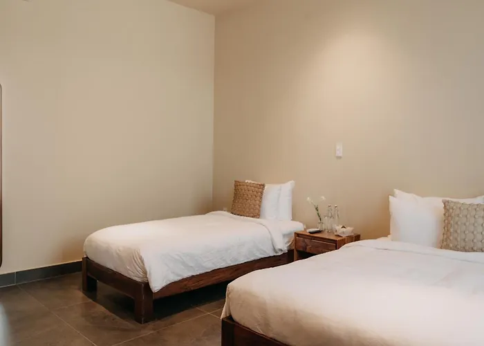 A Stay In Cici